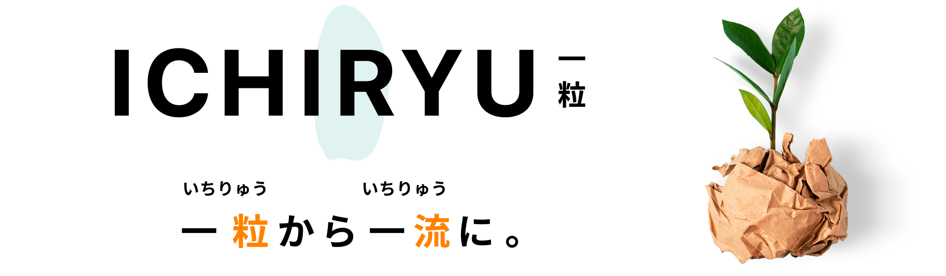 ICHIRYU(一粒)　〜一粒（いちりゅう）から一流（いちりゅう）へー