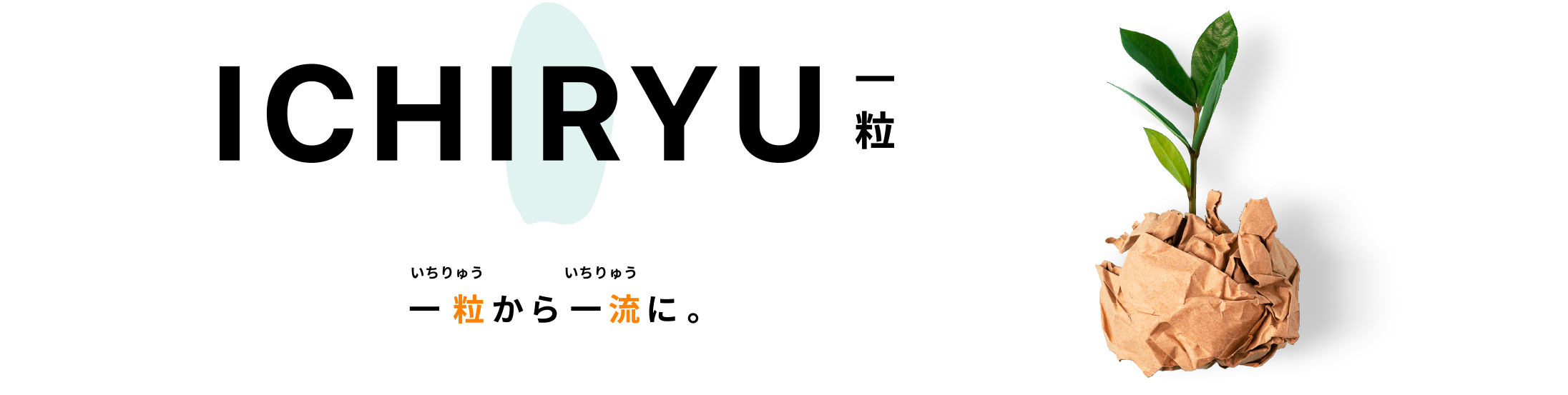ICHIRYU(一粒)　〜一粒（いちりゅう）から一流（いちりゅう）へー