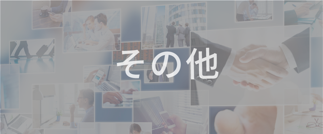 その他